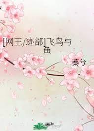 [King of Nets_Trails] Birds and Fish