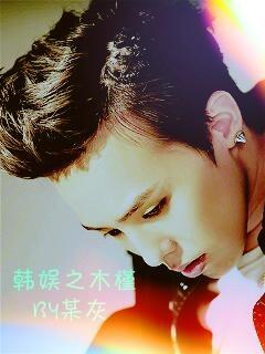 Korean entertainment hibiscus