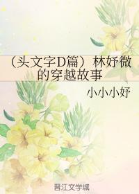 Lin Yuwei's time travel story