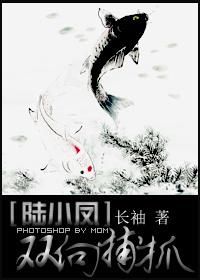 [Lu Xiaofeng] Two-way capture