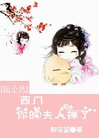 [Lu Xiaofeng] Ximen, your wife is gone