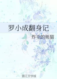 Luo Xiaocheng's turn over