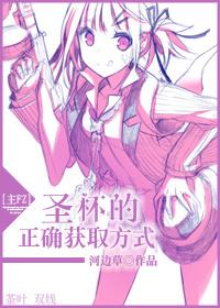 [Main FZ] The correct way to obtain the Holy Grail