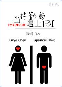 [Master Criminal Minds] When the Secret Service meets the FBI