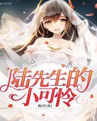 Mr. Lu's Little Pitiful