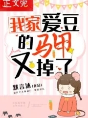 My Family's Idol's Vest Fell Again