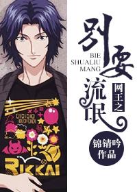 Net King: Don't Play Hooligans