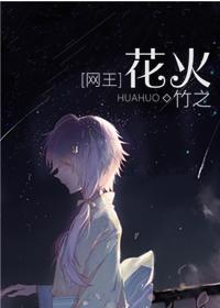 [Net King] Fireworks