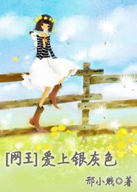 [Net King] In love with silver gray