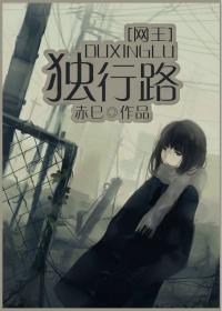 [Net King] Lonely Road