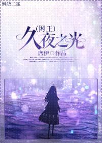 Net king long night light