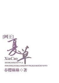 [Net King] Summer Grass