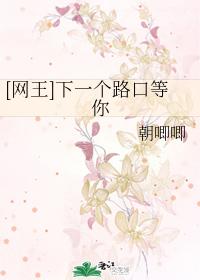 [Net King] Waiting for you at the next intersection