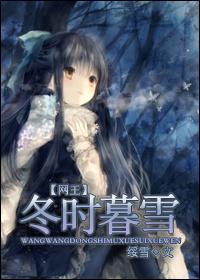 [Net King] Winter Snow