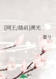 [Net King_Echizen] Backtracking