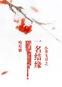 One of the names of Xiao Li Fei Dao became attached