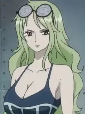 One Piece : From Slave to Fleet Admiral