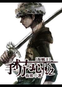 One Piece: Scalpel and Heart