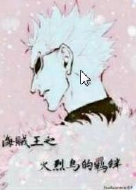 One Piece: The Bond of the Flamingo