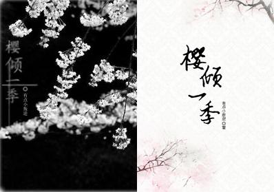 One season of cherry blossoms