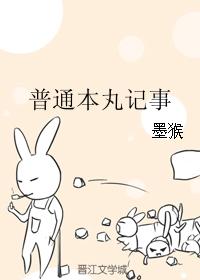 Ordinary Honmaru Chronicle