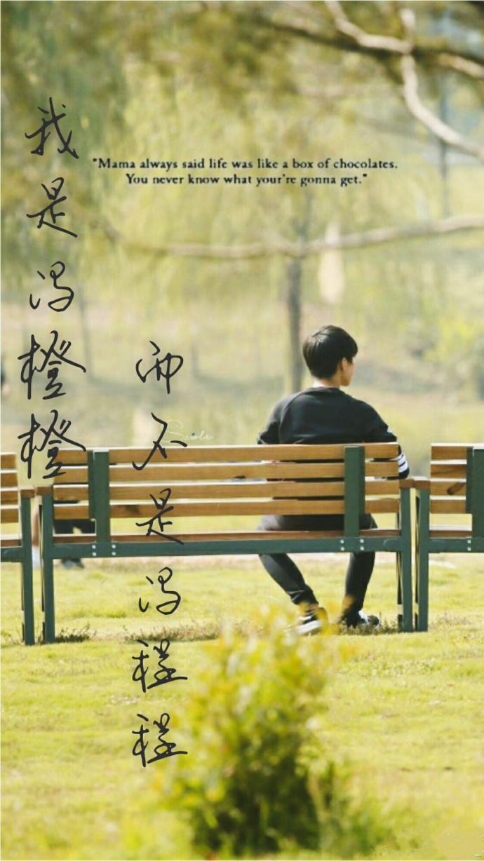 Our boyhood fan I am Feng Chengcheng not Feng Chengcheng