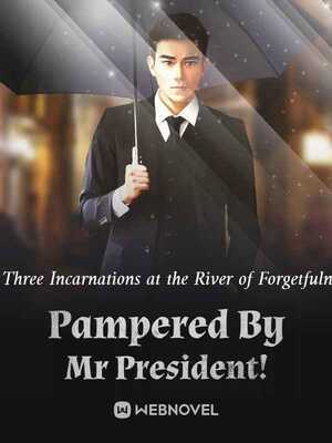 Pampered By Mr President!