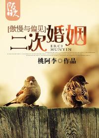 [Pride and Prejudice] Second Marriage