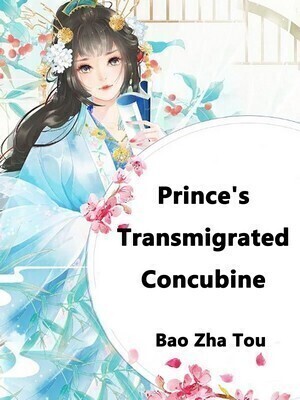 Prince's Transmigrated Concubine