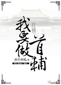 [Red Mansion] I want to be the chief assistant