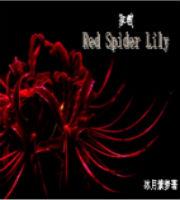 Red Spider Lily