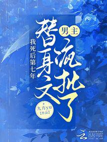 Seven years after my death, the male protagonist of the substitute novel was criticized