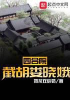 Siheyuan: Jiehu Lou Xiaoe