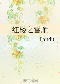 Snow Goose in the Red Chamber