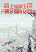 Survival on the Ice Road at Sea: Obtain a copy system at the beginning