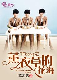 TFboys Lavender Flower Sea