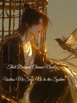 That Dropped Chinese Novel’s Useless Me Says No to the System