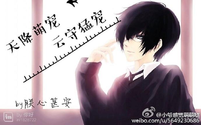 The cute pet from the sky, the fierce pet from the cloud