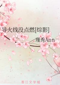 The fuse didn't ignite [Comprehensive]