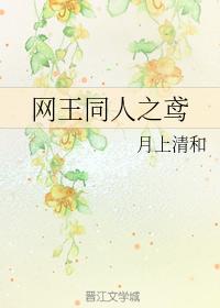 The kite of the king of the net