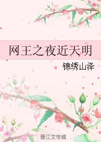 The night of the king of the net is near dawn