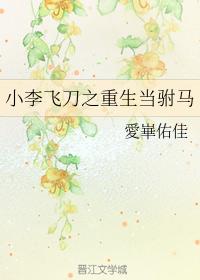 The rebirth of Xiao Li Fei Dao as a concubine