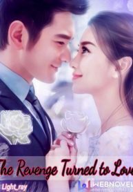 The Revenge Turned To Love