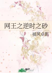 The sand of the net king