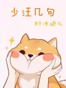 The Short Story of ShaoWang