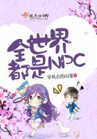 The whole world is an NPC