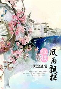 The Wind and Rain of the Red Chamber