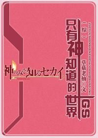 The World God Only Knows GS