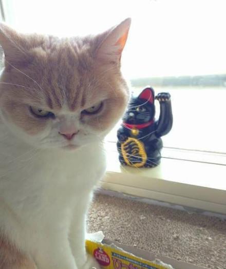 The worst of times, the best of you