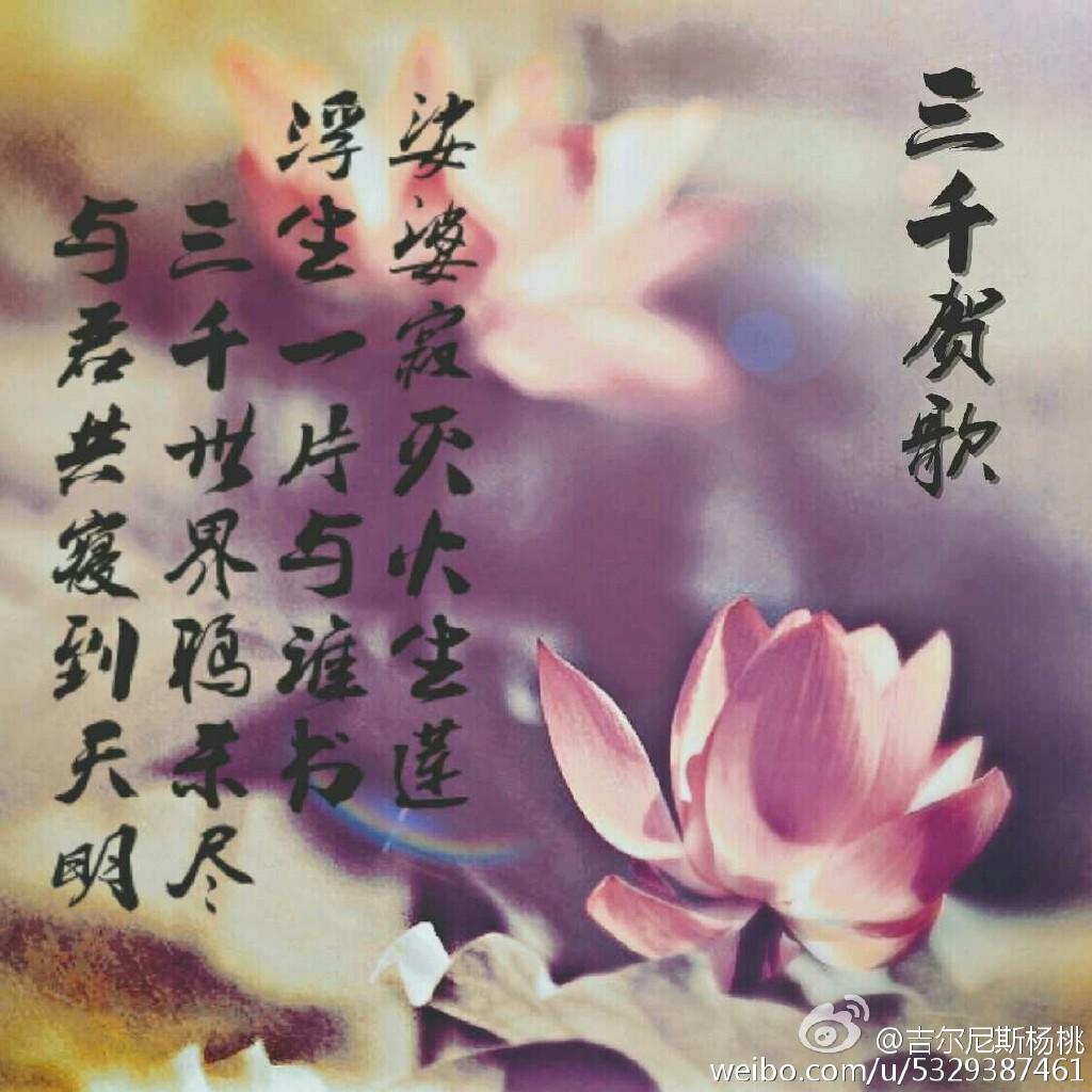 Three thousand congratulations